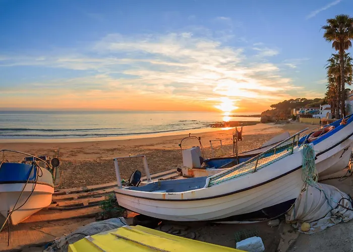 Apartament Jacaranda